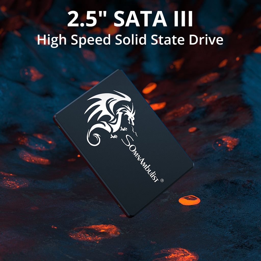 SomnAmbulist SSD 120GB 240GB 4 - Ssd 500Gb review and price